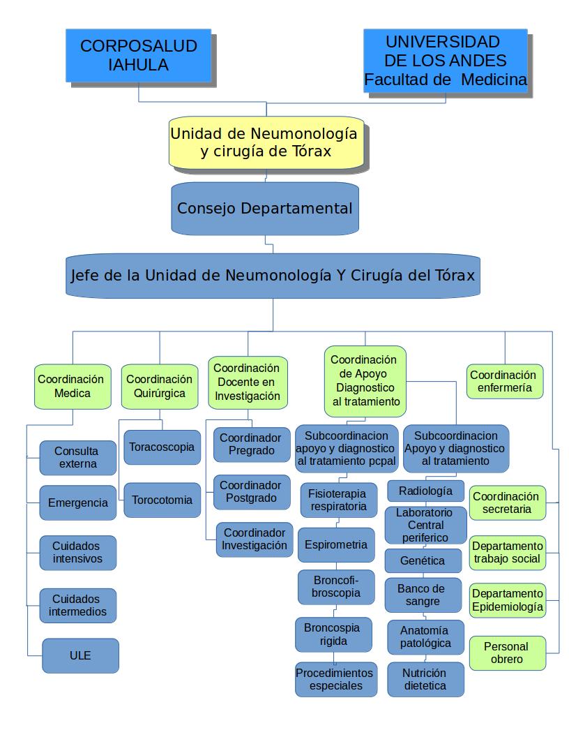 Organigrama